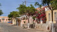 KAPVERDSKÉ OSTROVY – Boa Vista