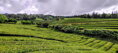 AZORSKÉ OSTROVY  (São Miguel)