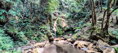 AZORSKÉ OSTROVY  (São Miguel)
