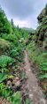 AZORSKÉ OSTROVY  (São Miguel)