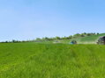 ČESKO - SLOVENSKO (zraz DeepRide + festival Overland)