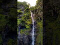 FRANCÚZSKA POLYNÉZIA - Tahiti