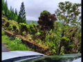 AZORSKÉ OSTROVY  (São Miguel)